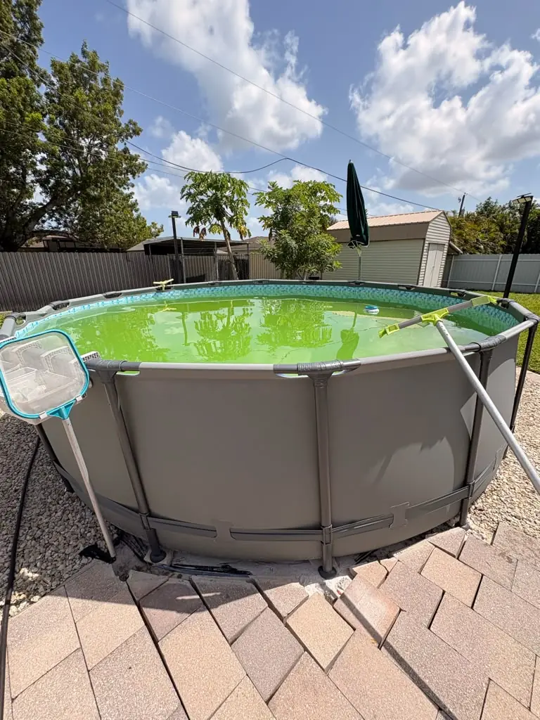 Above-ground pool with green water